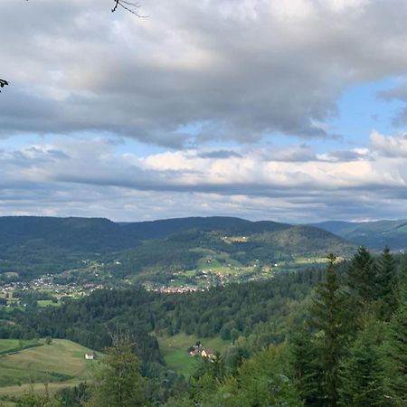 Monts Et Reves Bed & Breakfast Ramonchamp Eksteriør bilde